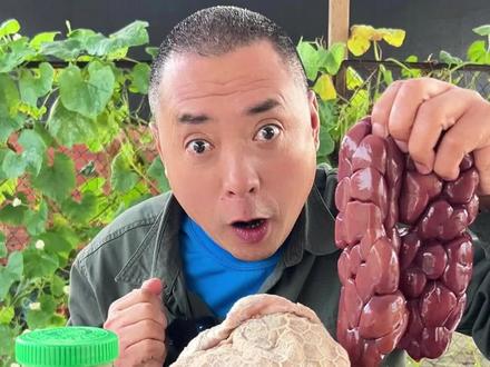 #吃货小子 #妈呀太香了 骆驼肚包腰子