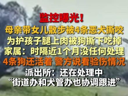 12月19日(回应)江西赣州,监控曝光!母亲带3岁女儿公园里散步被4条恶犬撕咬,为护孩子腿上肉被狗撕下吃掉,家属:时隔近1个月没任何处理,4条狗还活着,警方说看验伤情况,派出所:还在处理中,城管:街道办和犬管办也协调跟进