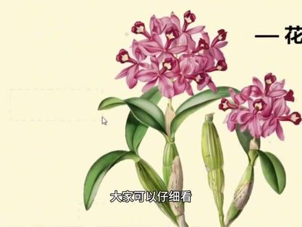 希沃白板教程:如何使用蒙版
#希沃白板教程