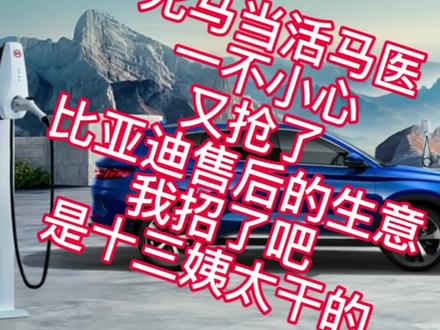 比亚迪充电桩报警,一不小心又抢了比售后生意。是十三姨太干的。 #玩转高科技 #充电桩 #汽车黑科技 #充电