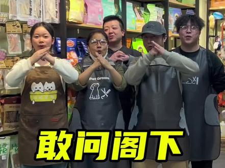 敢问阁下是(宠物美容师版)? #敢问阁下怎么称呼 #宠物美容造型 #宠物店 #宠物美容师 #双洗宠物