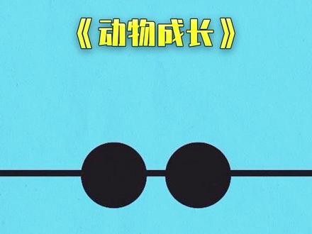 即便不是同品类的企鹅 阿德利企鹅也愿意保护帝企鹅宝宝前往海边#动物成长 #纪录片 #我要上热门 #企鹅 @抖音小助手