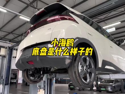 小海鸥的底盘长什么样子?#比亚迪 #比亚迪海鸥 #比亚迪海豹 #比亚迪海豚