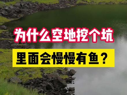 为什么空地挖个坑,里面会慢慢有鱼?(耐心看完) #爱护地球保护环境 #自然 #科普