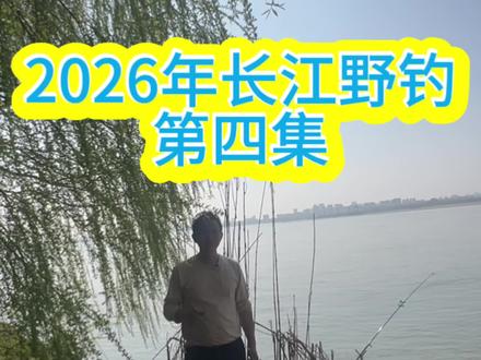 2026年长江野钓鮰鱼|第四集#野钓#鮰鱼#原来钓鱼才是抖音运动顶流 #钓鱼的乐趣只有钓鱼人懂 #钓鱼人就是这么疯狂