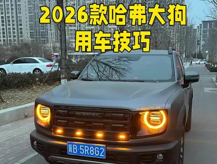 哈弗大狗用车小技巧,#哈弗大狗 #哈弗大狗2026款 #城市越野双标杆