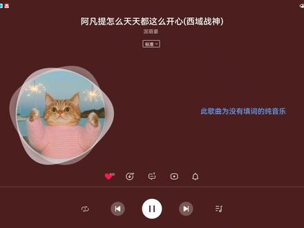 《阿凡提你怎么天天都这么开心》