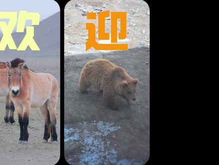 这里有一条畅玩路线,请查收!