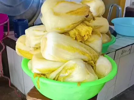 #酸菜的储存方法 #酸菜储存的好方法 春天的酸菜怎么储存 酸菜保鲜的最好办法 酸菜怎么冻不皮条
