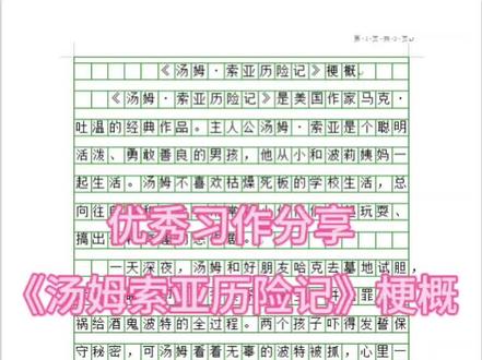 优秀习作分享《汤姆索亚历险记梗概》
#小学生作文