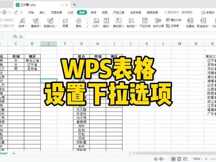 WPS表格如何设置下拉选项,WPS表格设置下拉选项,添加下拉选项#wps #office办公技巧 #办公技巧 #excel技巧 #wps表格技巧 #wps表格应用基础课程 #办公软件技巧