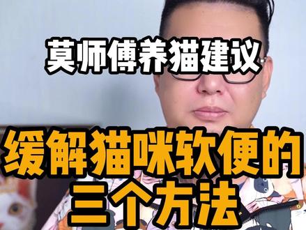 养猫人的三大梦想:布偶猫不软便,银渐层不掉毛,狸花猫不想出去浪。#正直的莫师傅 #山野与风谷 #猫咪软便 #猫粮推荐