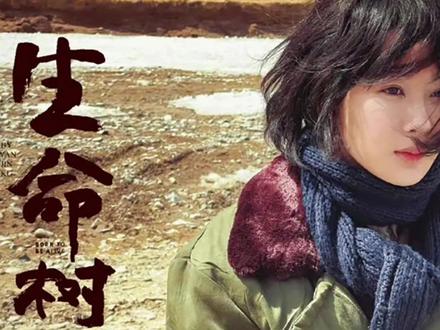 生命树16集:盗猎反扑姐弟反目,巡山队绝境坚守 #我的观影报告盗猎者为抢羊皮埋炸药反扑,白菊险遭不测,随后执意追寻犯错逃跑的弟弟白及。巡山队因装备不足陷入困境,多杰向上司求助反被要求先勘查矿物,众人在困境中依旧坚守反盗猎初心。#好剧推荐 #生命树胡歌 #热门 #杨紫 @泽笙视频