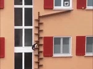 自从搭了这个猫楼梯,她回家的次数明显提升了#危险动作请勿模仿 @DOU+小助手