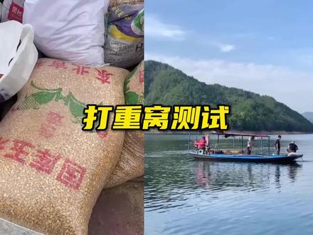 钓鱼打了百斤窝料,窝子竟没有一条鱼的原因找到了 #钓鱼技巧 #钓鱼知识 #湖库野钓 #打窝 #饵料测试