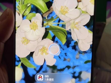 一招教你登上锁屏岛 更新到新系统后发现黑厂宣传的锁屏岛功能根本没用,那就跟着我的步伐来设置吧#ColorOS #ColorOS16 #数码科技 #真实生活分享计划 #种草激励计划