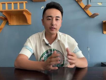 猫咪繁育人是怎样应对被猫咪抓伤咬伤的?#猫咪 #被猫抓伤 #被猫咬了 #养宠进阶指南 #萌宠出道计划