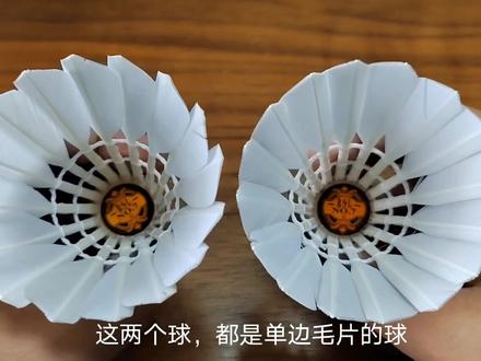 你会区分羽毛球的左手毛和右手毛吗?#羽毛球 #亚狮龙66号