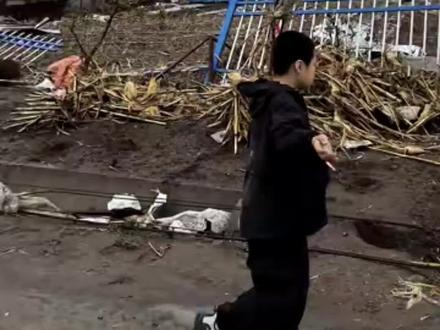 黑龙江省明水县龙卷风🌪