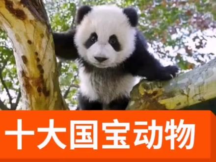 中国十大国宝级动物