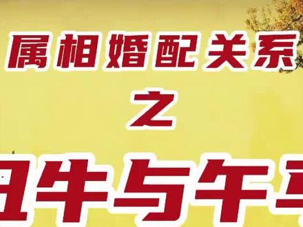 #家庭婚姻情感 #情感 #婚姻家庭 属相婚配牛与马
