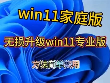 win11家庭版如何升级win11专业版简单实用的方法无需任何三方工具#电脑技巧 #win11家庭版 #win11家庭版系统 #win11专业版 #win11专业版激活