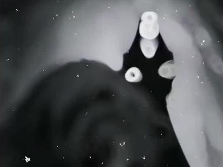 小熊吃药乐,小熊坏。方源杀小熊,方源好。# 小熊饼干#大爱仙尊#古月方源