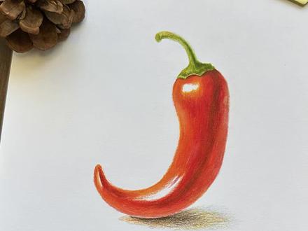 三分钟教你画立体的小辣椒,新手友好,跟我学画画不翻车哦! 快来一起画画吧,记得留下你的作业哦~
#从零开始学画画 #画画教程 #我的2025艺术创作回忆 #2025艺术年鉴 #抖音青年艺术家计划