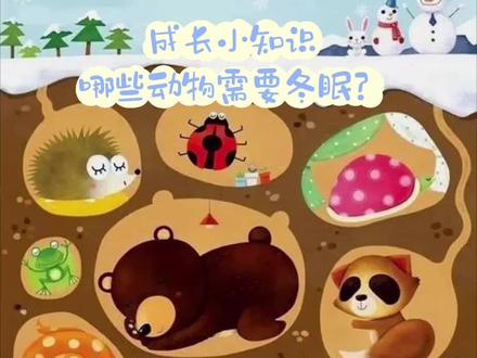 科普小知识
冬眠的小动物#动物知识科普视频