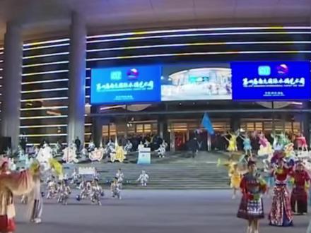 陆丰皮影戏亮相四川南充“第四届国际木偶艺术周”#陆丰皮影戏#四川南充#国际木偶艺术周