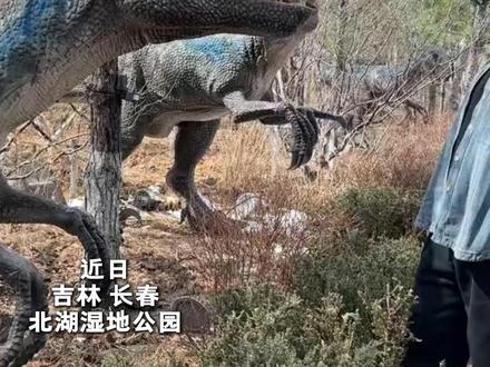 男子因为好奇把头伸进恐龙模型嘴里,结果被一口咬住。网友:医生问是被什么咬的你就说恐龙。#注意安全 #长春北湖湿地公园 #恐龙探险岛 (责编:梁拓元 编审:张宇 监审:董杰)原作者@野巴黎