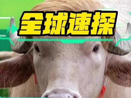 #国际局势 #热点新闻事件 #中东局势 #美国
5月28日中午全球局势速看