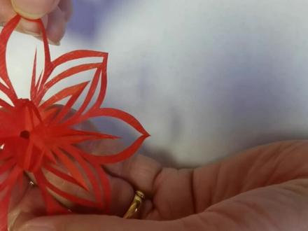 随手教大家剪一朵小团花#省工艺美术大师温涛 #非遗过年dou来播 #祝福大家都平安健康幸福快乐 #剪纸教程 #温涛剪纸@DOU+小助手