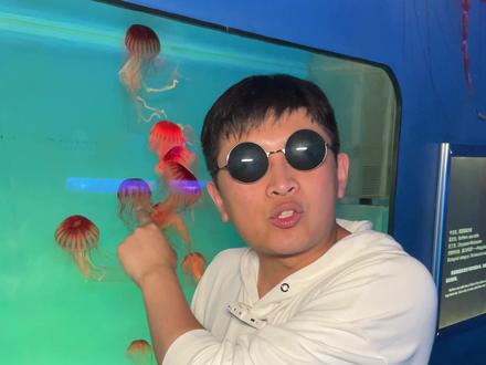 你们知道我的迪迦水母去哪了吗? 我找了它好久呀~! 不要忘记给小姨夫,素质三连哦~~