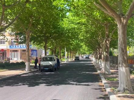 獐子岛因为距离大陆远,运费高,物价相对也比较高。视频里的地方是獐子岛的中心商业区,生活基本所需都是可以买到的。尤其饭店基本也都集中在这里哦~