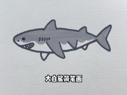 简笔画教程(46)大白鲨#鲨鱼简笔画 #简笔画 #育儿 #儿童画 #画画
