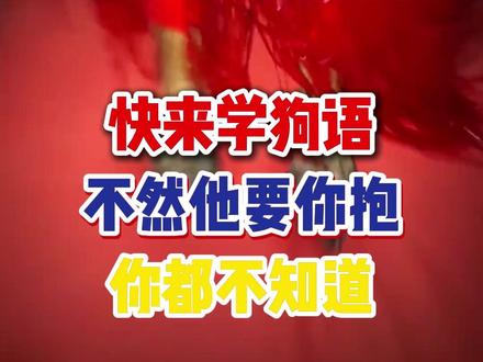 这几句狗狗语言你要知道不然可要误会狗狗了 #养狗小知识 #养狗人 #狗狗的心思都写在脸上了 #狗狗的迷惑行为 #养狗经验分享