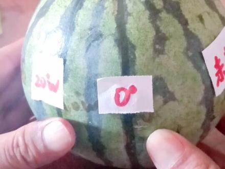 #变声 地理三分钟,提高真轻松!