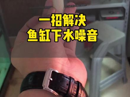 抓紧双击收藏起来试试吧#观赏鱼 #鱼缸