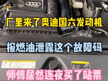 奥迪国六发动机报燃油泄露诊断,故障代码处理解决方案!