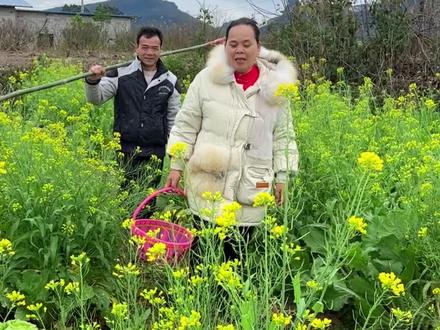 准备过年了,给孩子们做个木鳖果汤圆#车厘子 #管家的乡村生活 #管家的幸福生活