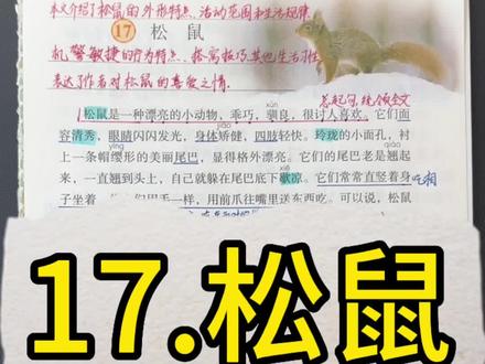 五年级上册第17课《松鼠》重点,视频是可以保存的哈,保存到相册给孩子看