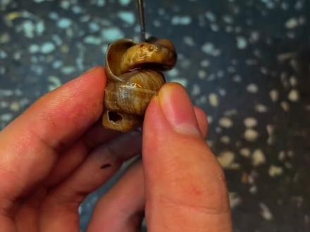 倒放阿牛小卖部,笑死我了😂😂😂