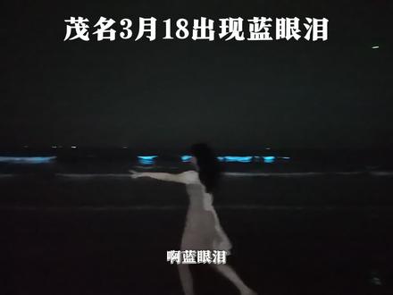 追蓝眼泪的攻略来了,我就不一一回复了!#蓝眼泪 #茂名