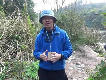 新桥水库,戳拱钓,都是大板鲫 #钓鱼 #钓鱼人 #戳拱钓 #野钓