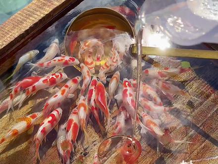 画完最后一层,封顶大吉!🤗#树脂画 #画画#3D#锦鲤