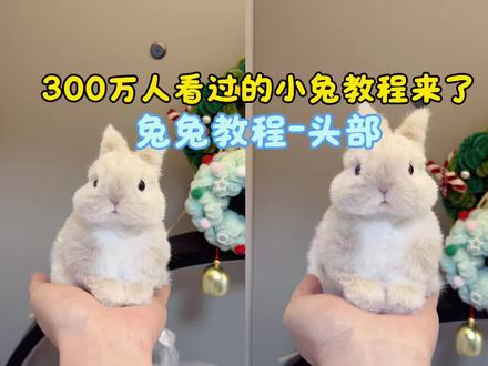 300万人看过的扭扭棒兔子教程来喽,收藏学起来。#扭扭棒 #扭扭棒的100种玩法 #手作 #兔子 #diy