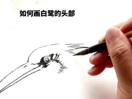 如何画白鹭?跟我一起画国画吧!#一起学画画 #画出春日的浪漫可爱 黄翅鱼煮面线