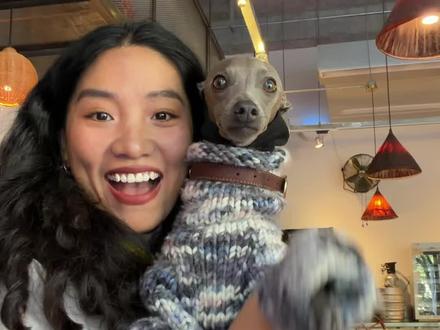 给娃又做了一套新衣服!
#养狗人 #狗狗 #时尚穿搭 #意大利小灵缇