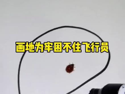 画地为牢也控不住飞行员#有趣 #好玩